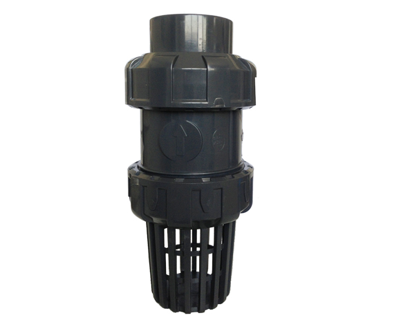 True Union Foot Valve